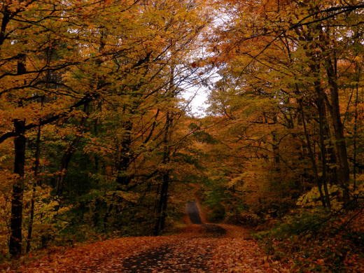 1140671 (a): :2560x1920